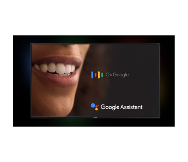 Sharp 24BI5EA HD AndroidTV - 1386393 - zdjęcie 3
